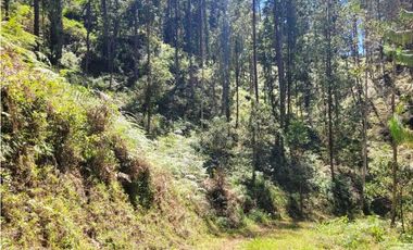 Venta de Terreno con 2 matriculas Ubicado en el Portento Retiro