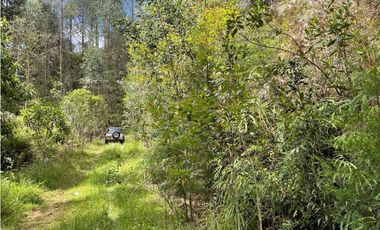 Venta de Terreno con 2 matriculas Ubicado en el Portento Retiro