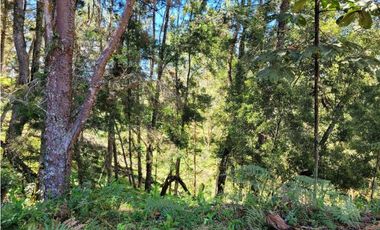 Venta de Terreno con 2 matriculas Ubicado en el Portento Retiro