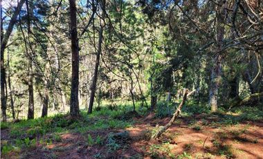 Venta de Terreno con 2 matriculas Ubicado en el Portento Retiro