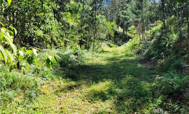 Venta de Terreno con 2 matriculas Ubicado en el Portento Retiro