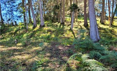 Venta de Terreno con 2 matriculas Ubicado en el Portento Retiro