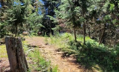 Venta de Terreno con 2 matriculas Ubicado en el Portento Retiro