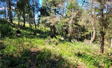 Venta de Terreno con 2 matriculas Ubicado en el Portento Retiro