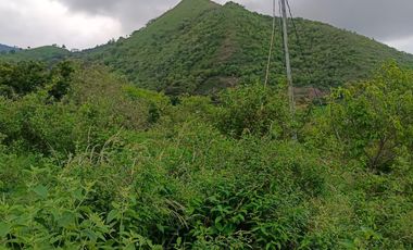 Vijes,vereda Carbonero ,37.000 Mtrs