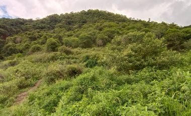 Vijes,vereda Carbonero ,37.000 Mtrs