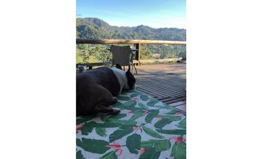 VENTA DE FINCA EN EL RETIRO