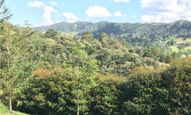 VENTA DE FINCA EN EL RETIRO