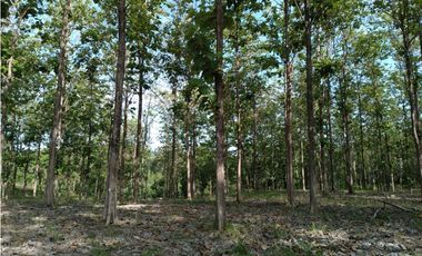 Terreno en Venta en Colón, Vía Gatuncillo, Salamanca. SD