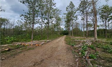 Terreno en Venta en Colón, Vía Gatuncillo, Salamanca. SD