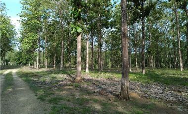 Terreno en Venta en Colón, Vía Gatuncillo, Salamanca. SD