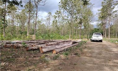 Terreno en Venta en Colón, Vía Gatuncillo, Salamanca. SD