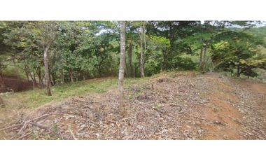 CERRO AZUL / TERRENO / 7 HECTAREAS / VISTA A LA CIUDAD Y MAR