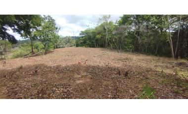 CERRO AZUL / TERRENO / 7 HECTAREAS / VISTA A LA CIUDAD Y MAR