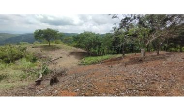CERRO AZUL / TERRENO / 7 HECTAREAS / VISTA A LA CIUDAD Y MAR