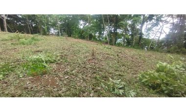 CERRO AZUL / TERRENO / 7 HECTAREAS / VISTA A LA CIUDAD Y MAR