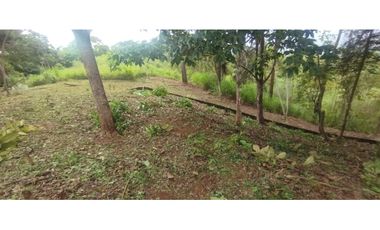 CERRO AZUL / TERRENO / 7 HECTAREAS / VISTA A LA CIUDAD Y MAR