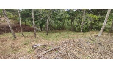 CERRO AZUL / TERRENO / 7 HECTAREAS / VISTA A LA CIUDAD Y MAR