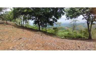 CERRO AZUL / TERRENO / 7 HECTAREAS / VISTA A LA CIUDAD Y MAR