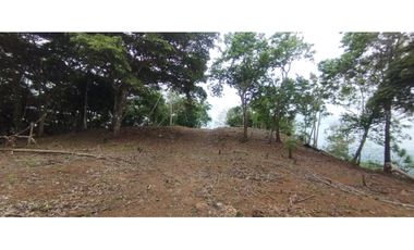 CERRO AZUL / TERRENO / 7 HECTAREAS / VISTA A LA CIUDAD Y MAR