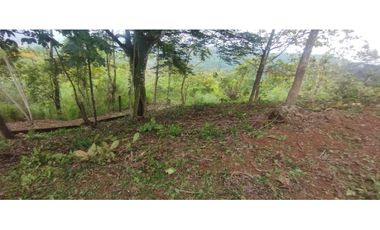 CERRO AZUL / TERRENO / 7 HECTAREAS / VISTA A LA CIUDAD Y MAR