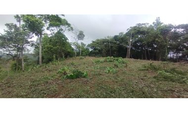 CERRO AZUL / TERRENO / 7 HECTAREAS / VISTA A LA CIUDAD Y MAR