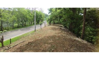 CERRO AZUL / TERRENO / 7 HECTAREAS / VISTA A LA CIUDAD Y MAR