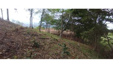 CERRO AZUL / TERRENO / 7 HECTAREAS / VISTA A LA CIUDAD Y MAR