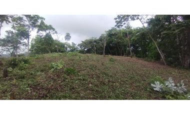 CERRO AZUL / TERRENO / 7 HECTAREAS / VISTA A LA CIUDAD Y MAR