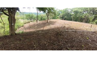 CERRO AZUL / TERRENO / 7 HECTAREAS / VISTA A LA CIUDAD Y MAR