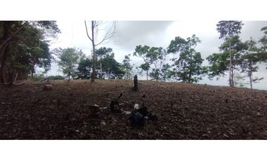 CERRO AZUL / TERRENO / 7 HECTAREAS / VISTA A LA CIUDAD Y MAR
