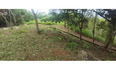 CERRO AZUL / TERRENO / 7 HECTAREAS / VISTA A LA CIUDAD Y MAR