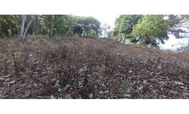 CERRO AZUL / TERRENO / 7 HECTAREAS / VISTA A LA CIUDAD Y MAR