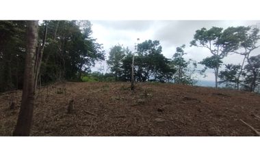 CERRO AZUL / TERRENO / 7 HECTAREAS / VISTA A LA CIUDAD Y MAR