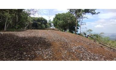 CERRO AZUL / TERRENO / 7 HECTAREAS / VISTA A LA CIUDAD Y MAR