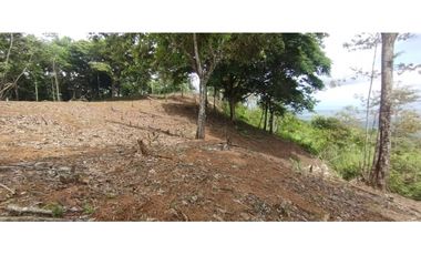 CERRO AZUL / TERRENO / 7 HECTAREAS / VISTA A LA CIUDAD Y MAR