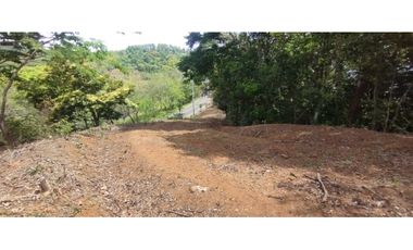 CERRO AZUL / TERRENO / 7 HECTAREAS / VISTA A LA CIUDAD Y MAR