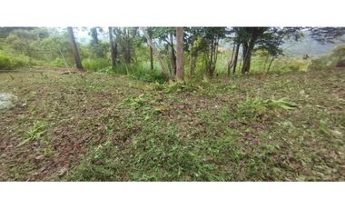 CERRO AZUL / TERRENO / 7 HECTAREAS / VISTA A LA CIUDAD Y MAR