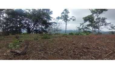 CERRO AZUL / TERRENO / 7 HECTAREAS / VISTA A LA CIUDAD Y MAR