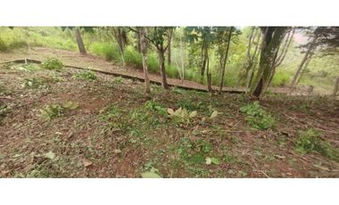 CERRO AZUL / TERRENO / 7 HECTAREAS / VISTA A LA CIUDAD Y MAR