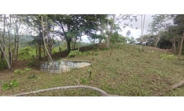 CERRO AZUL / TERRENO / 7 HECTAREAS / VISTA A LA CIUDAD Y MAR