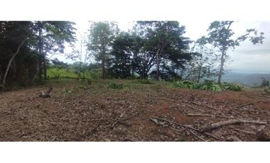 CERRO AZUL / TERRENO / 7 HECTAREAS / VISTA A LA CIUDAD Y MAR