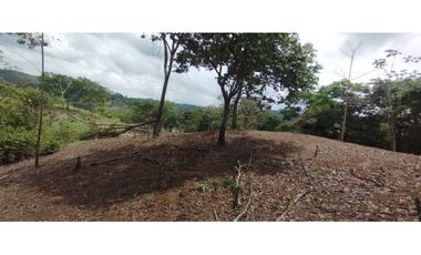 CERRO AZUL / TERRENO / 7 HECTAREAS / VISTA A LA CIUDAD Y MAR