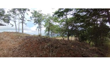 CERRO AZUL / TERRENO / 7 HECTAREAS / VISTA A LA CIUDAD Y MAR