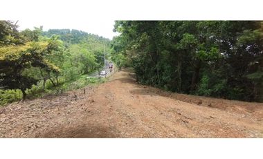 CERRO AZUL / TERRENO / 7 HECTAREAS / VISTA A LA CIUDAD Y MAR