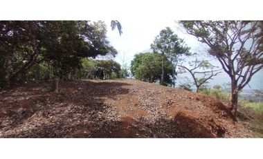 CERRO AZUL / TERRENO / 7 HECTAREAS / VISTA A LA CIUDAD Y MAR
