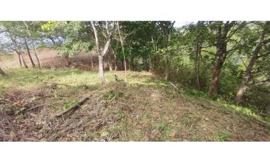 CERRO AZUL / TERRENO / 7 HECTAREAS / VISTA A LA CIUDAD Y MAR