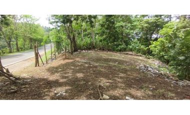 CERRO AZUL / TERRENO / 7 HECTAREAS / VISTA A LA CIUDAD Y MAR