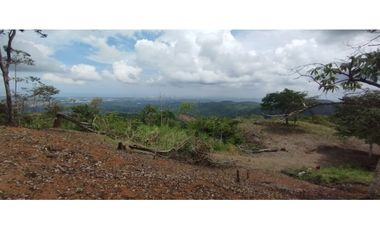 CERRO AZUL / TERRENO / 7 HECTAREAS / VISTA A LA CIUDAD Y MAR