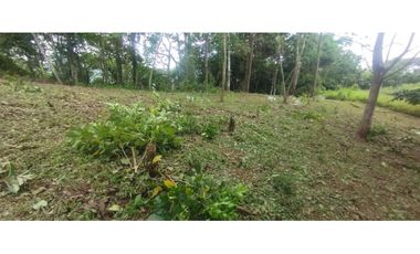 CERRO AZUL / TERRENO / 7 HECTAREAS / VISTA A LA CIUDAD Y MAR